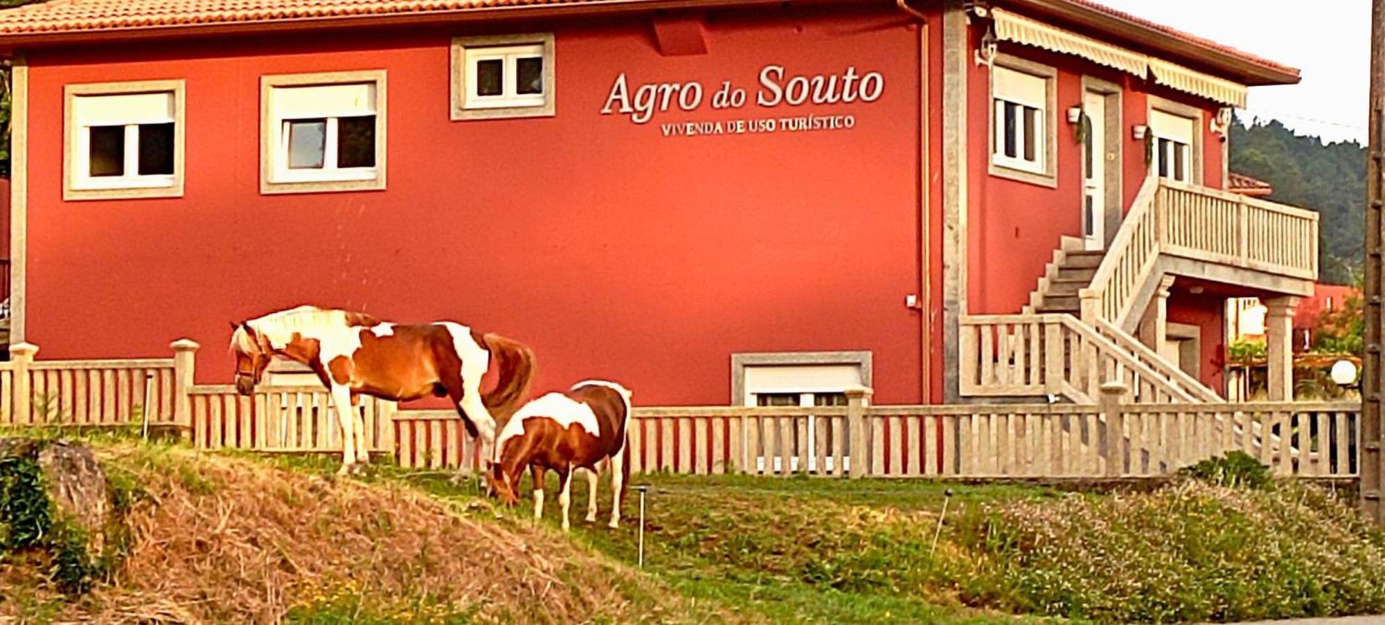 Agro Do Souto, Noia - Villa Completa Buitenkant foto